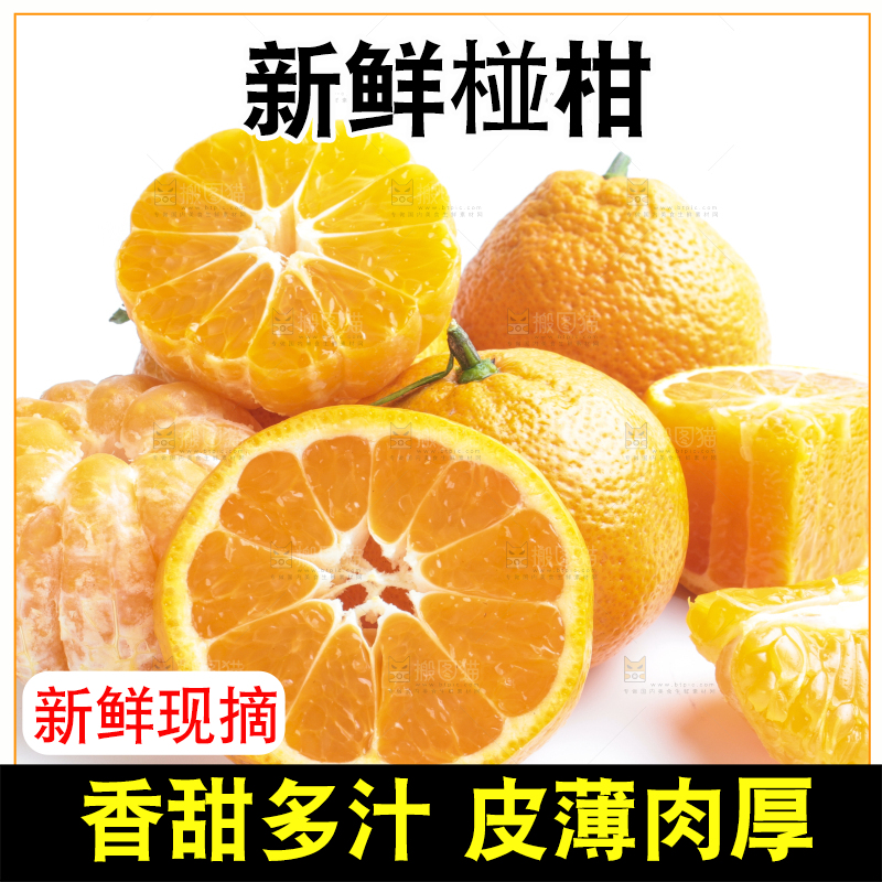 白底上摆放着四川椪柑