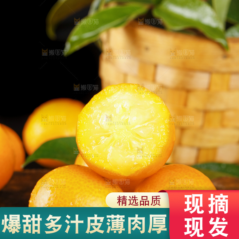 黑底上的小金桔
