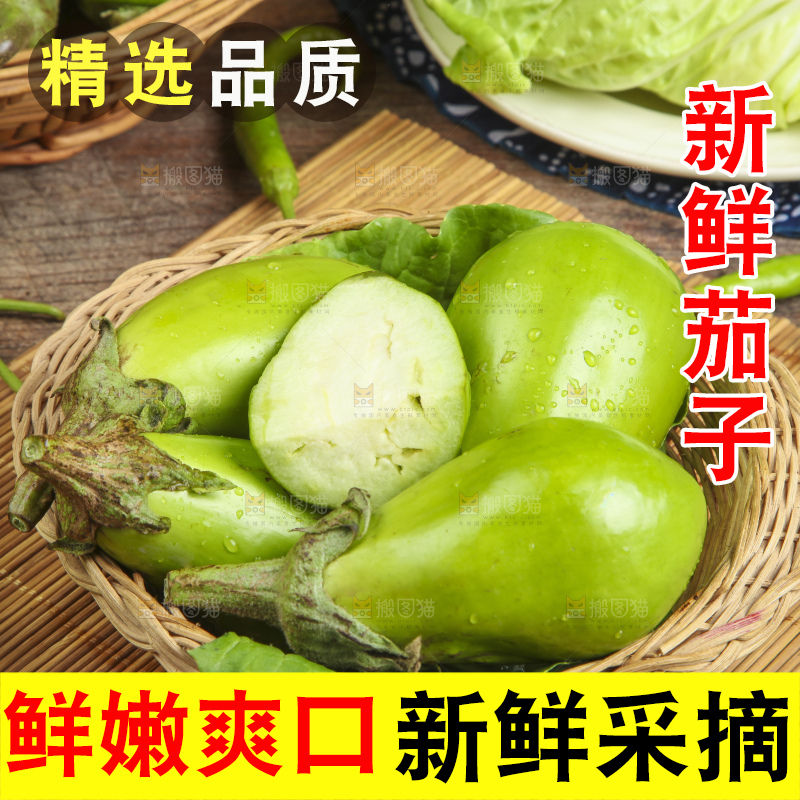篮子里装着青皮茄子