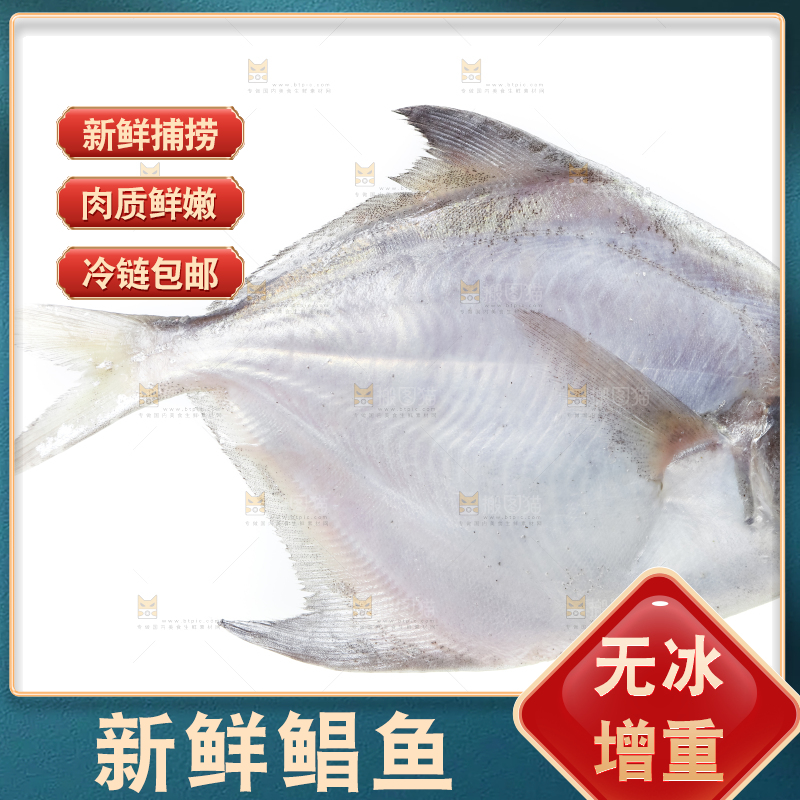 白底上放着银鲳鱼