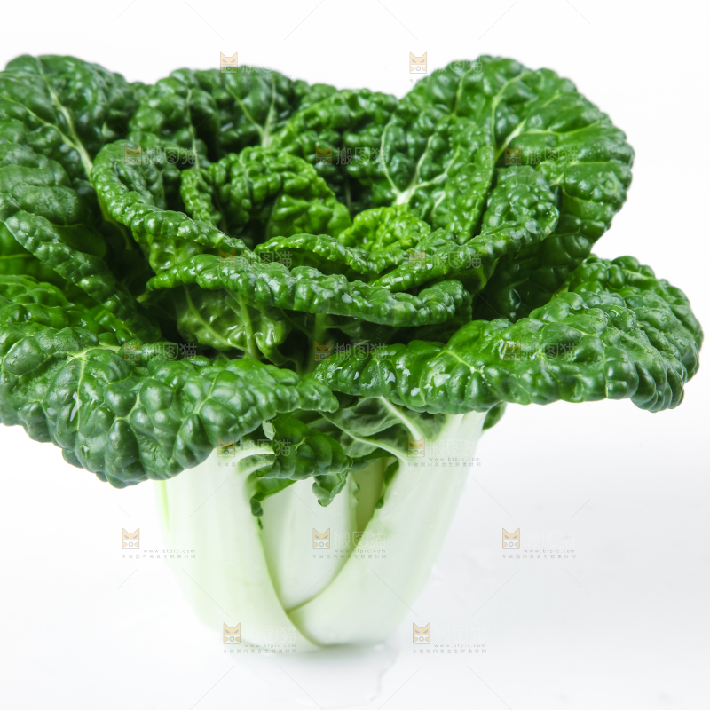 白底上放着奶油小白菜