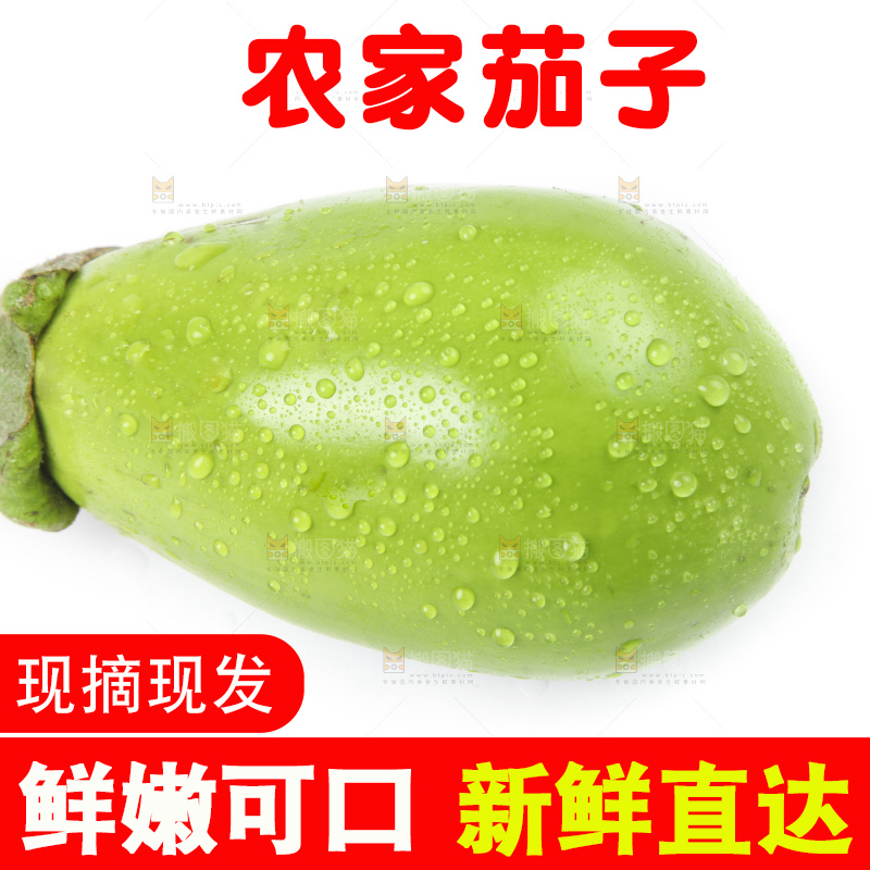 白底上放着青皮茄子