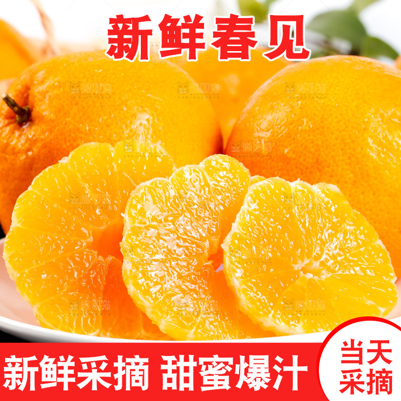 黑石板上的春见耙耙柑