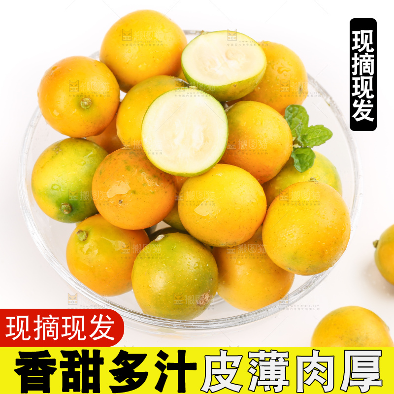 碗里装着金桔