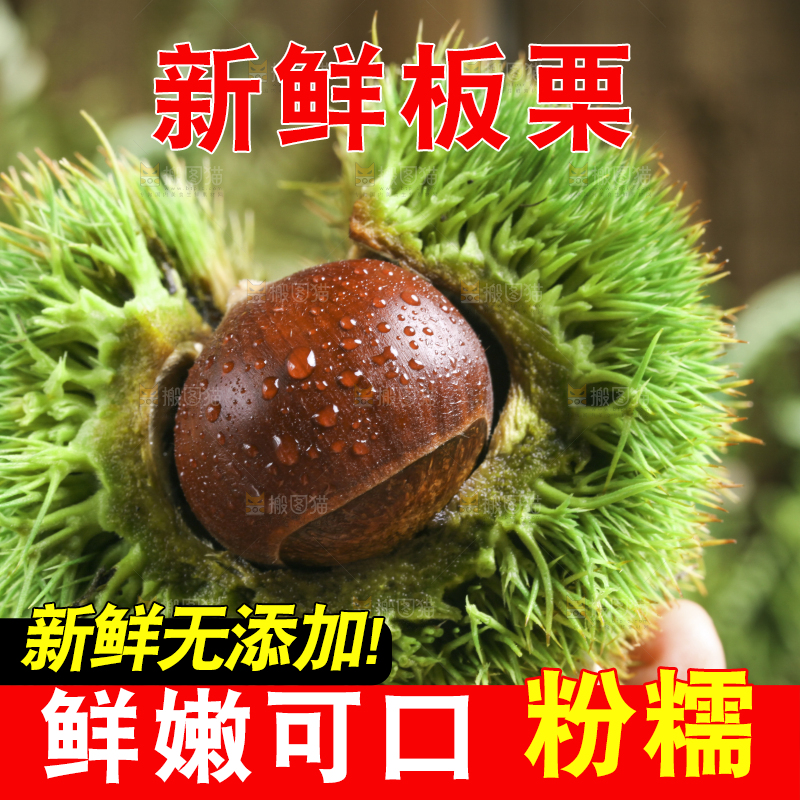 手里拿着新鲜板栗