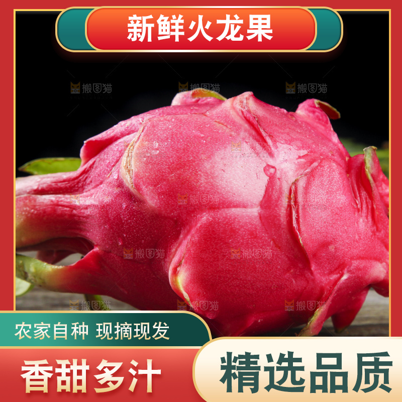 黑底上放着火龙果
