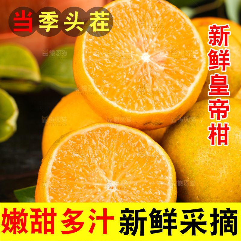 黑底上一堆新鲜的广西皇帝柑