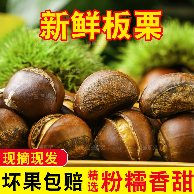 深底上的迁西板栗