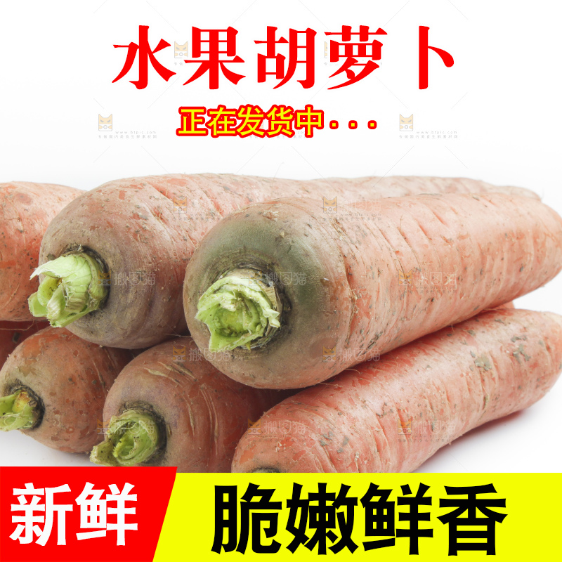 白底上的胡萝卜