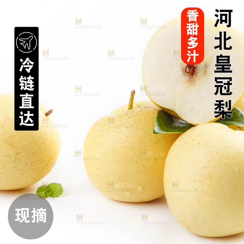 白底上摆放着河北皇冠梨