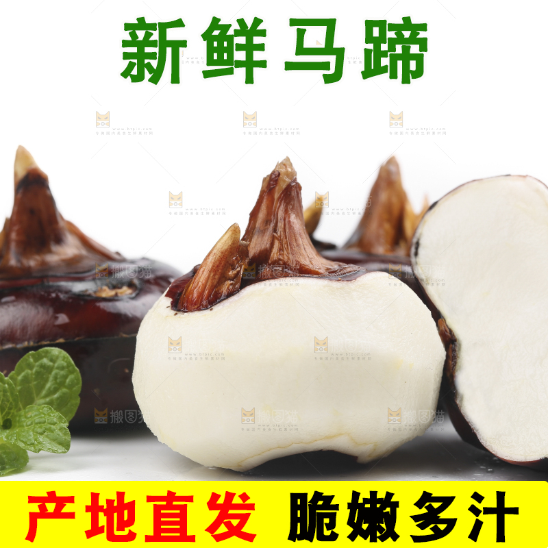 白底上放着广西马蹄