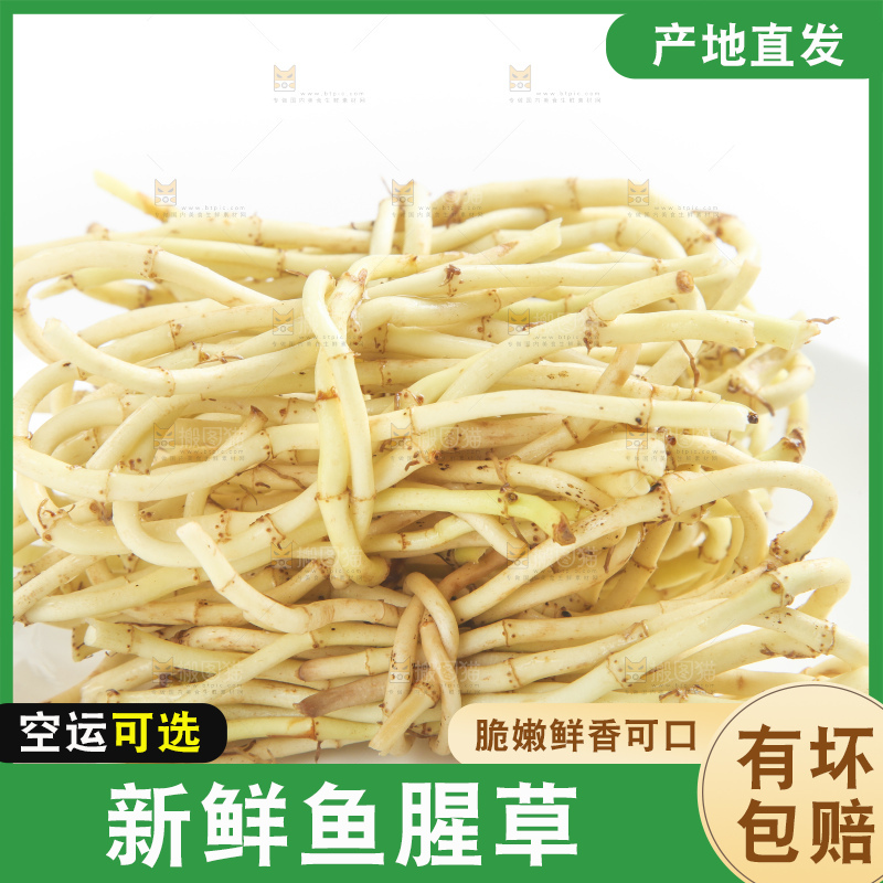 白底上放着折耳根