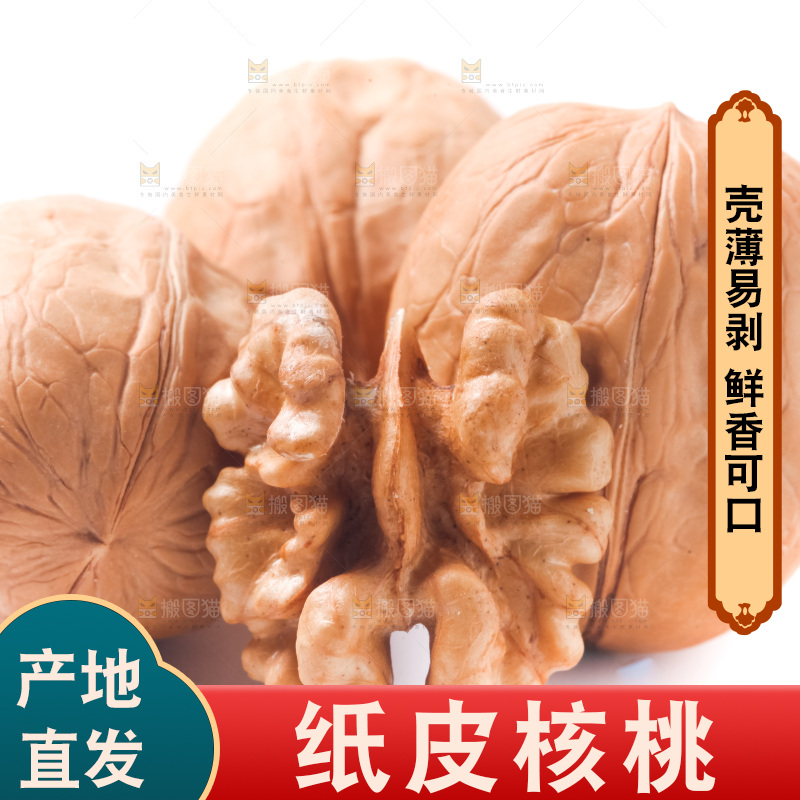 白底上的新疆核桃