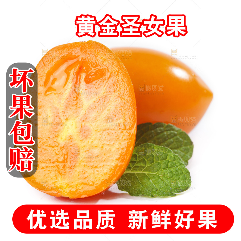 白底上的夏日阳光圣女果