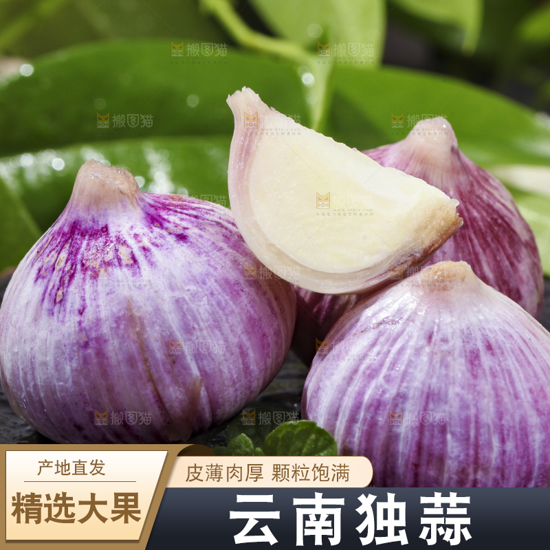 深底上摆放着云南独头蒜