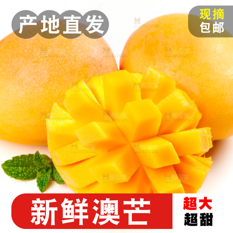 白底上摆放着越南澳芒