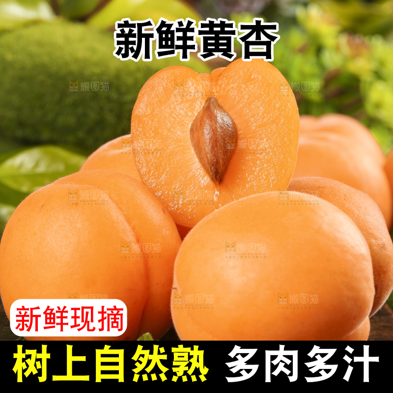 深底上摆放着烟台杏子