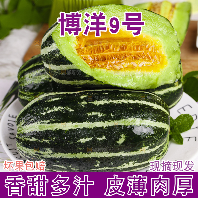 盘子里装着美洋甜瓜