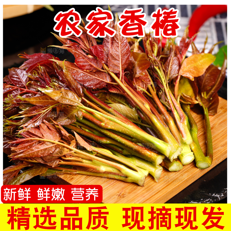 木板上放着香椿苗芽