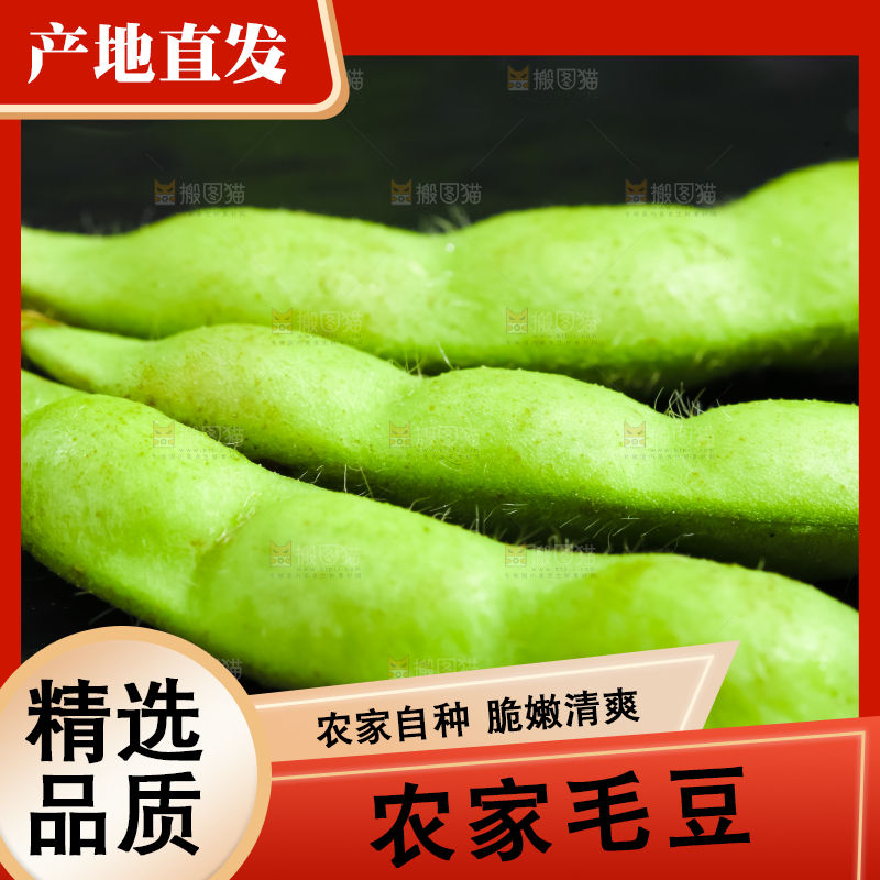 黑底上摆放着生毛豆