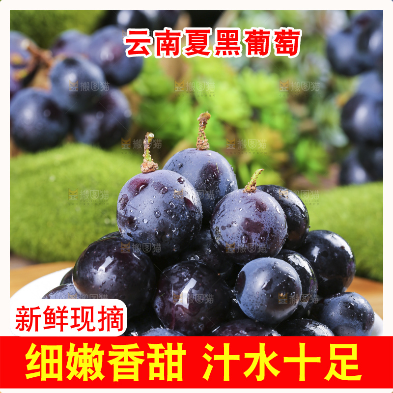 盘子里装着黑加仑葡萄