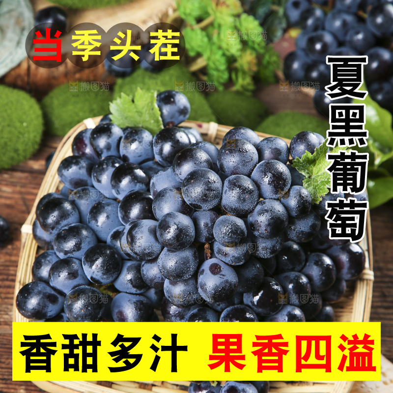 篮子里装着黑加仑