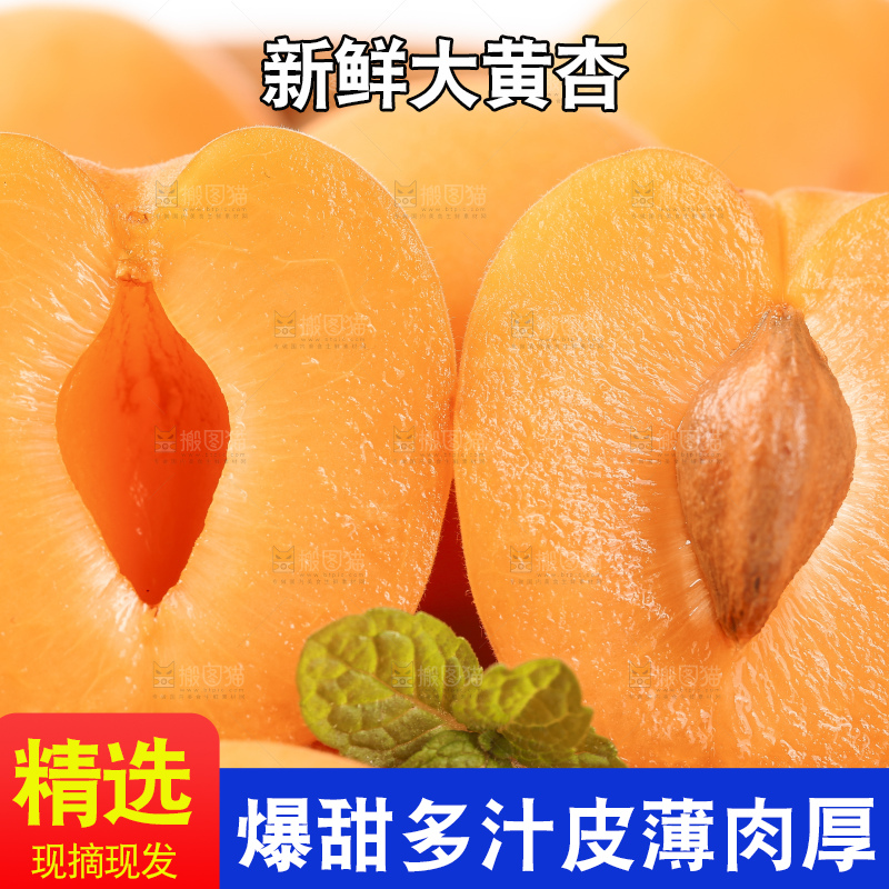 堆放着一堆的黄杏
