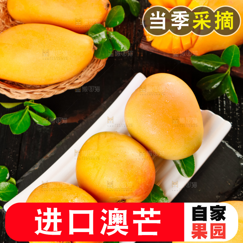 碟子里装着澳芒
