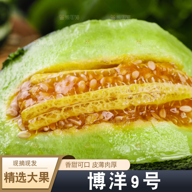 黑底上摆放着博洋蜜脆甜瓜