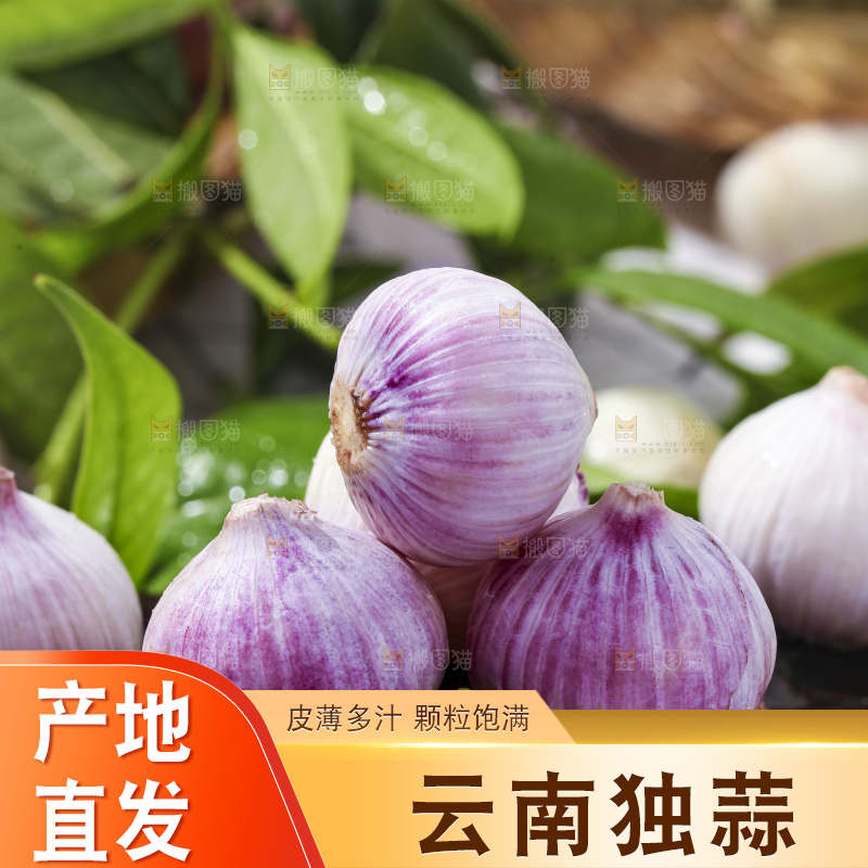 木底上摆放着云南紫皮独蒜