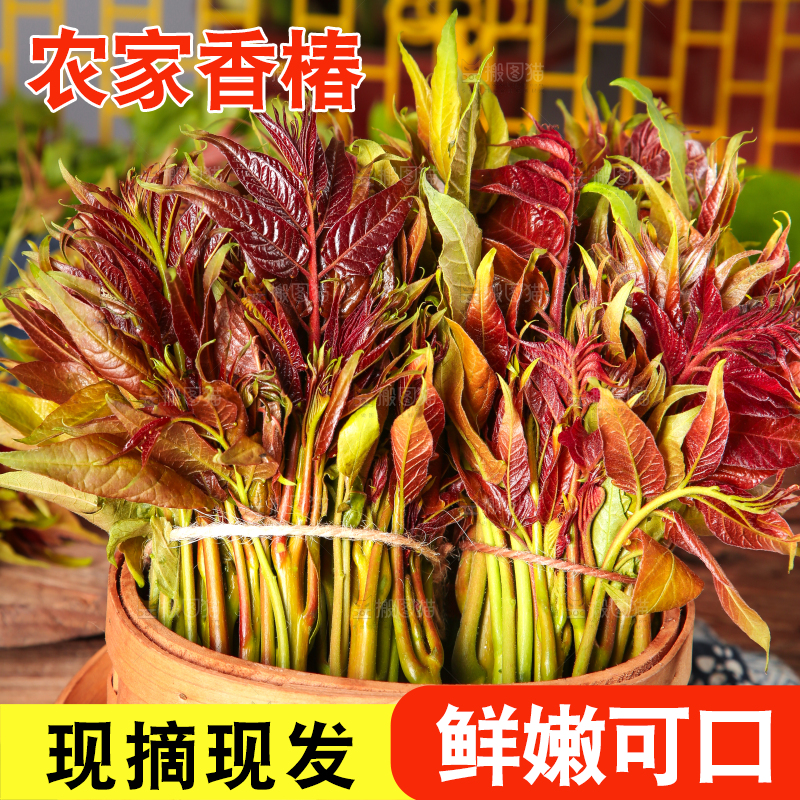 篮子里装着香椿芽