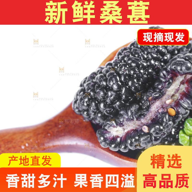 勺子上放着桑葚