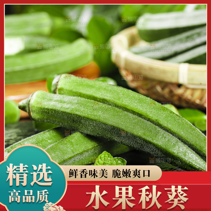 黑底上摆放着山东新鲜秋葵