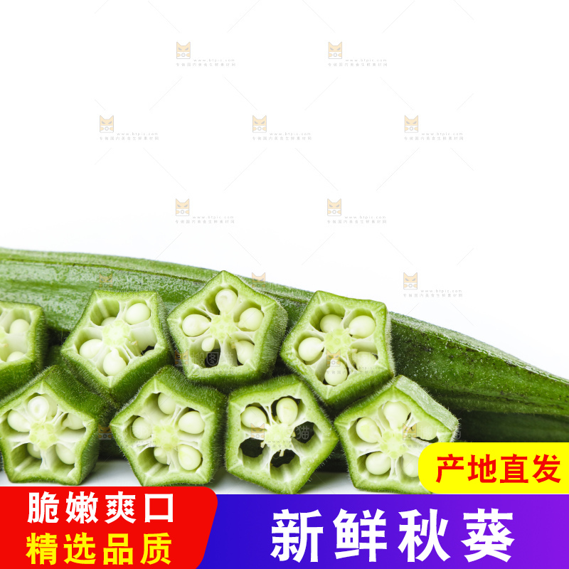 白底上摆放着秋葵