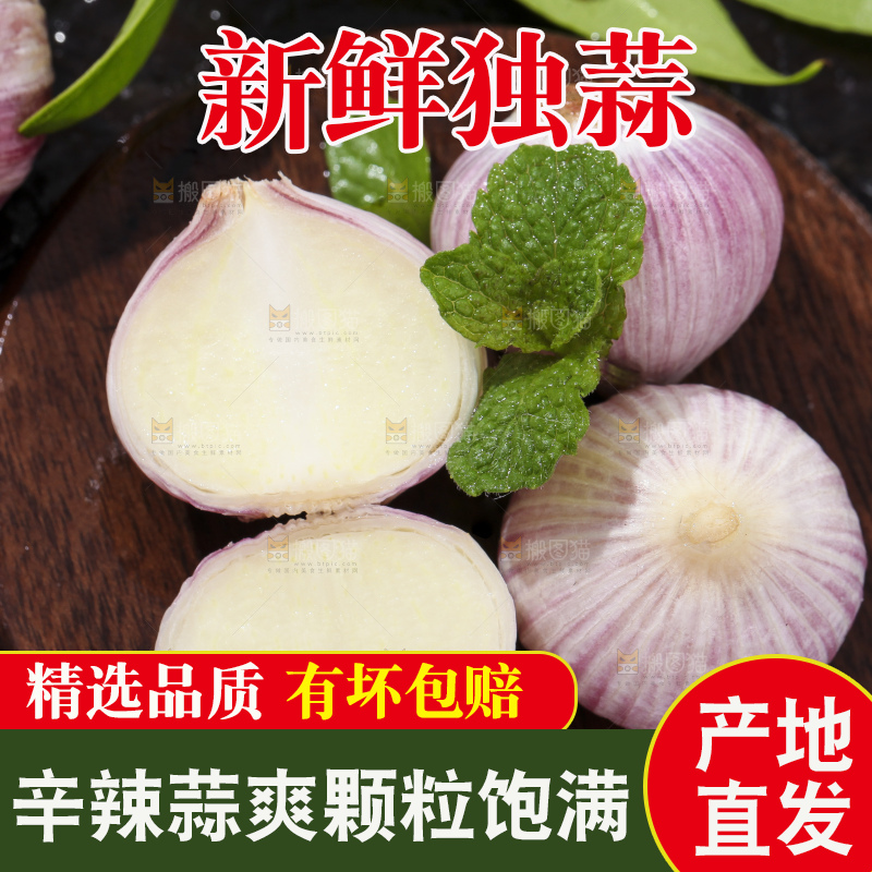 深底上摆放着紫皮独蒜