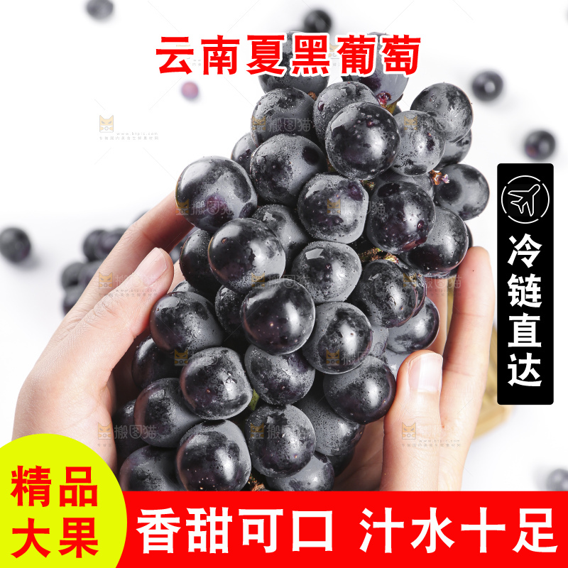 手里拿着夏黑葡萄