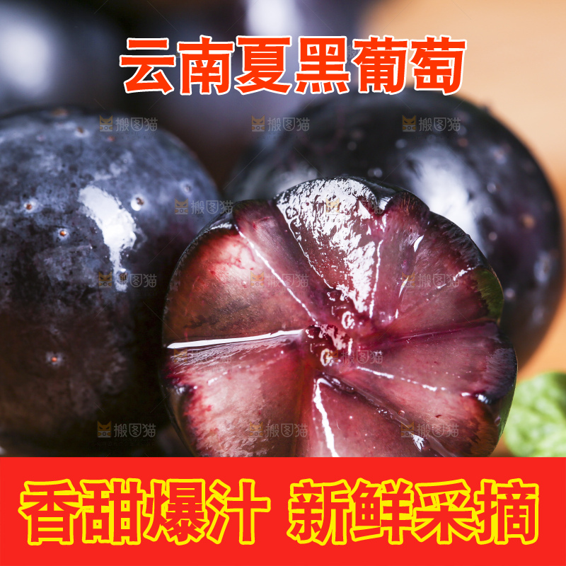 木底上摆放着无籽黑提