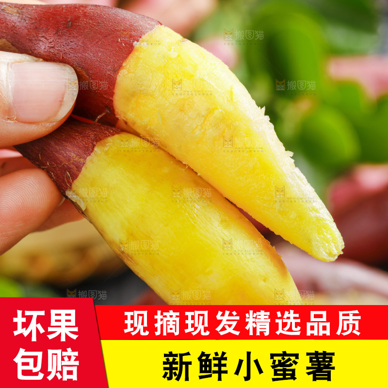 手里拿着临安小香薯