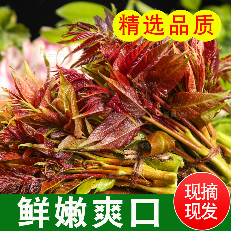木底上放着一把秦岭香椿