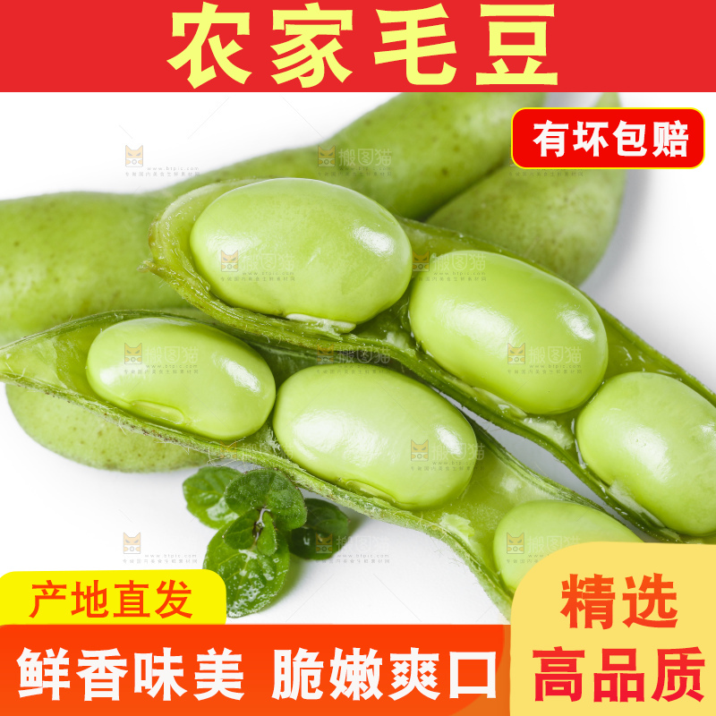 白底上摆放着毛豆角