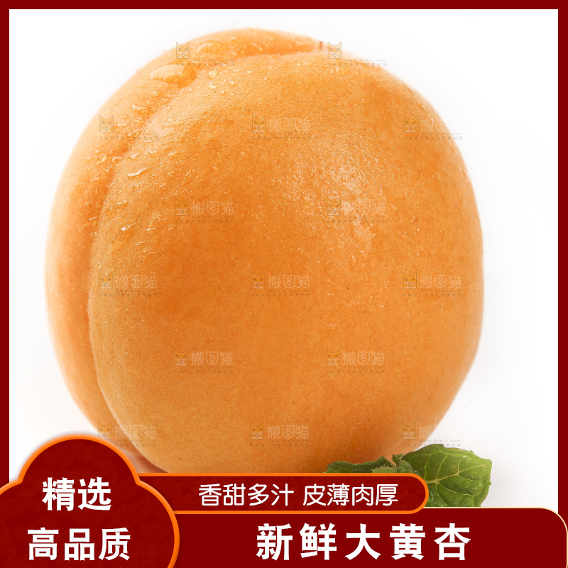 白底上放着山东大黄杏