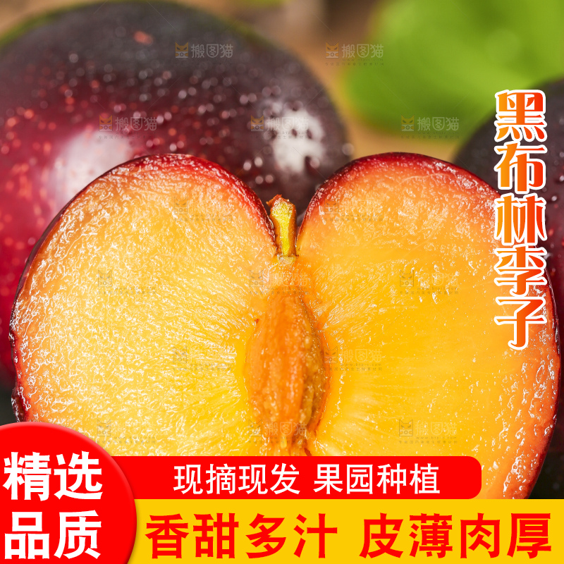 黑底上摆放着黑布林