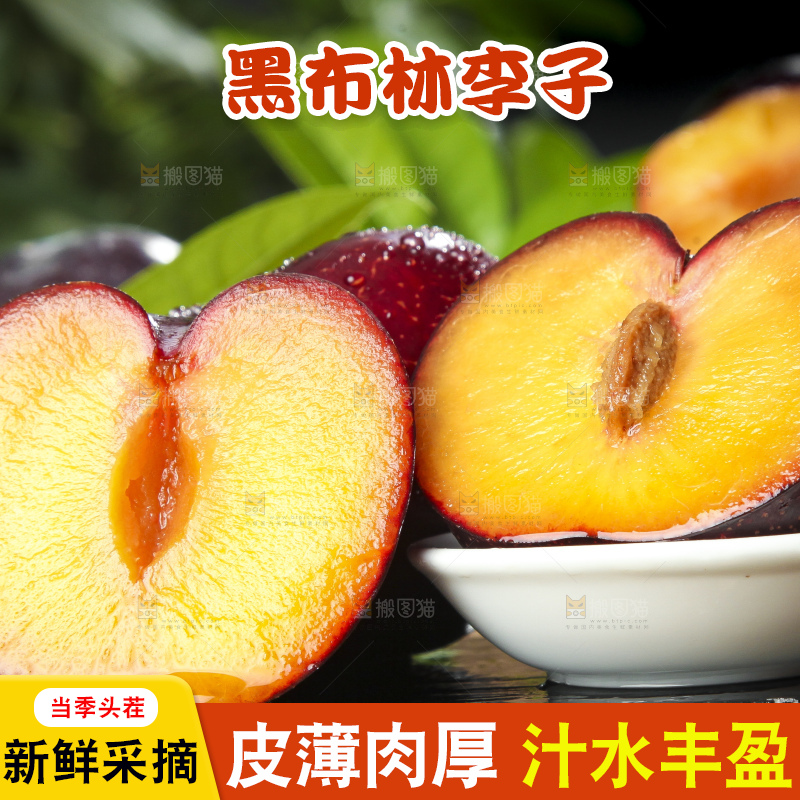 黑底上放着黑布朗