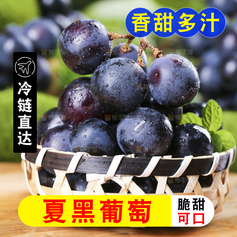 篮子里装着夏黑无籽葡萄