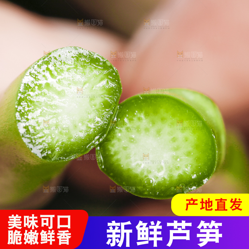 手里拿着嫩芦笋