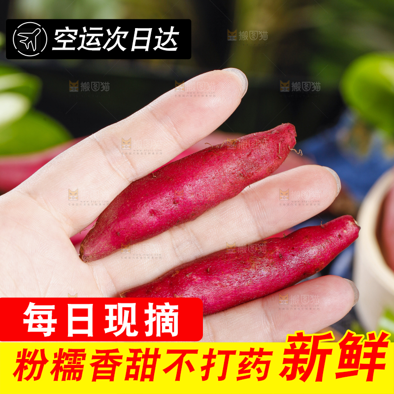 手里拿着金手指红薯