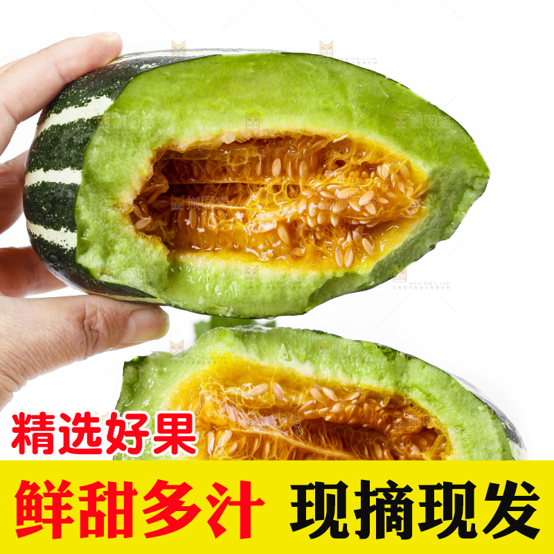 手里拿着博洋9号甜瓜