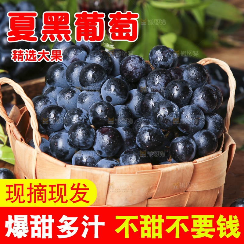 篮子里装着黑加仑葡萄