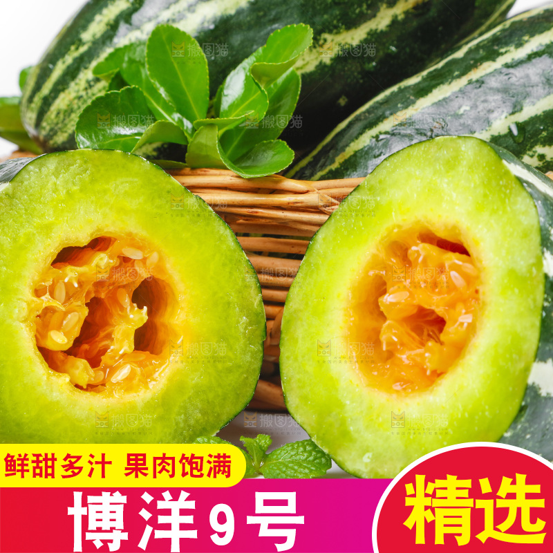 白底上放着花皮甜瓜