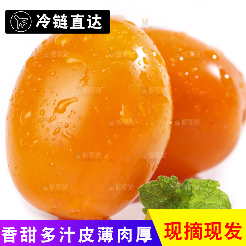 白底上摆放着山东黄金圣女果